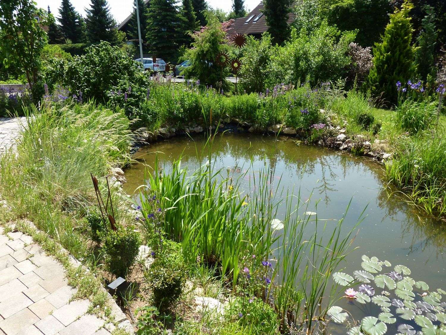Das Besondere!!! Hochwertiges Traumhaus, in ruhiger Randlage mit Dop