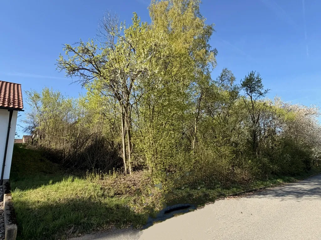 Seltene Gelegenheit! Großzügiges Baugrundstück in ruhiger Toplage von Pressath – Bild 2