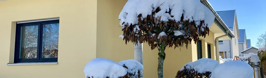 Verschneiter Kugelbaum und Sträucher vor gelber Hausfassade im Winter