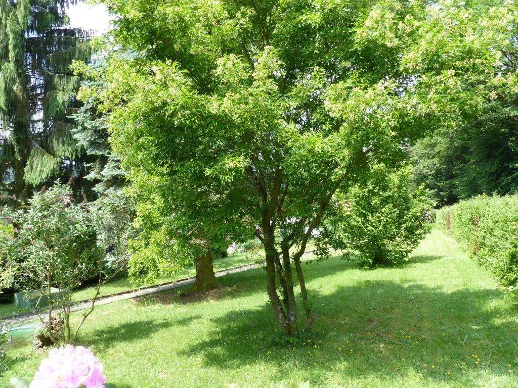 Freizeitgrundstück mit massiv gebautem Gartenhaus und Geräteschuppen, nähe Weiden – Bild 13