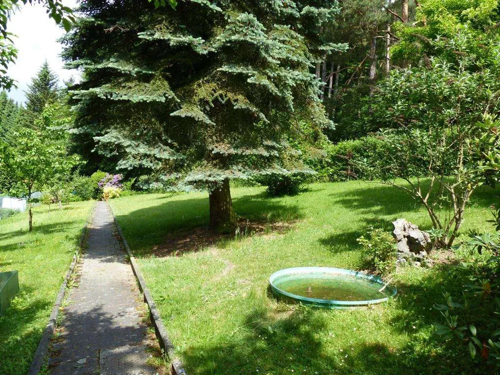 Freizeitgrundstück mit massiv gebautem Gartenhaus und Geräteschuppen, nähe Weiden – Bild 6
