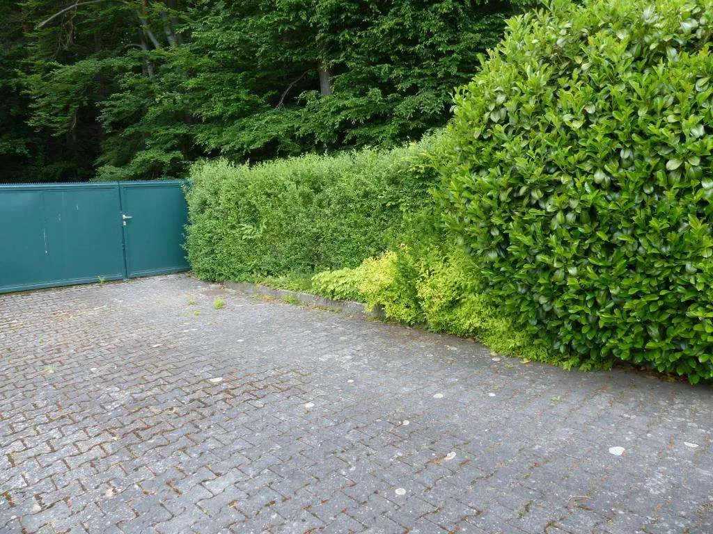Freizeitgrundstück mit massiv gebautem Gartenhaus und Geräteschuppen, nähe Weiden – Bild 14
