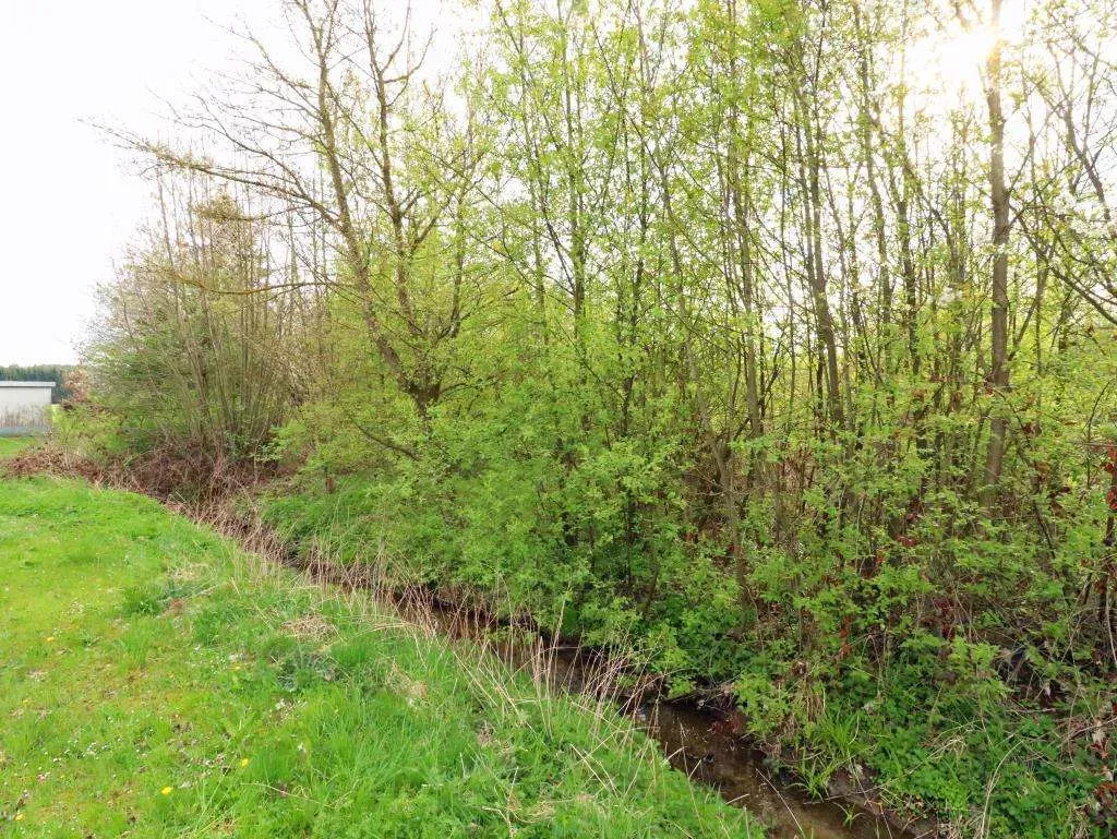 In Dorflage nähe Kemnath! Tolles Baugrundstück mit seitlichem Bachlauf und in Randlage – Bild 1