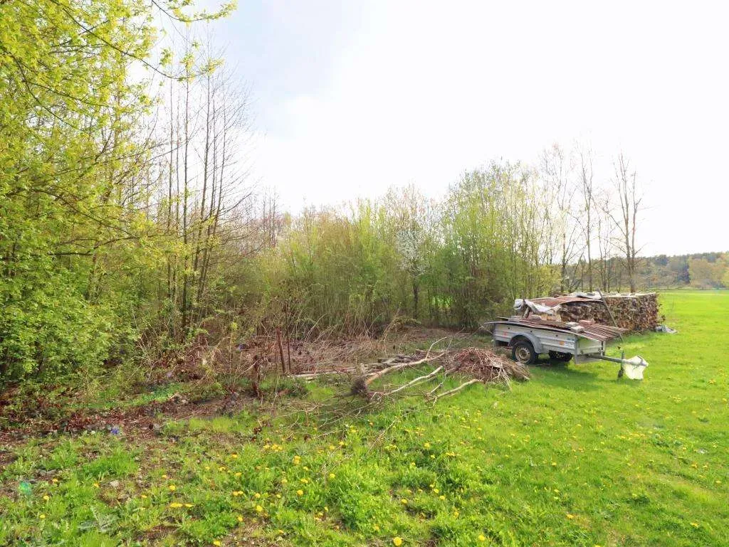 In Dorflage nähe Kemnath! Tolles Baugrundstück mit seitlichem Bachlauf und in Randlage – Bild 2
