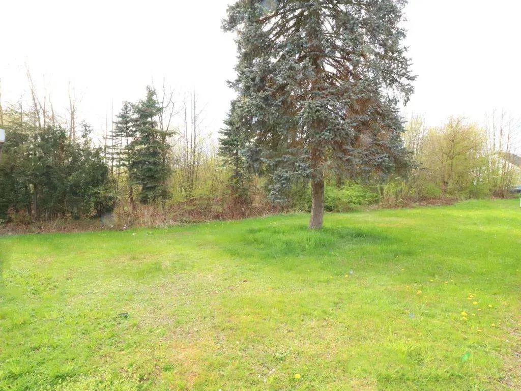 In Dorflage nähe Kemnath! Tolles Baugrundstück mit seitlichem Bachlauf und in Randlage – Bild 3