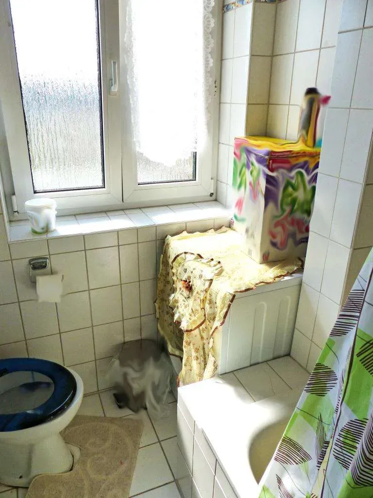 Kapitalanleger gesucht!!! Günstige 3 Zi.-ETW mit Balkon und schöner Aussicht, derzeit vermietet. – Bild 3