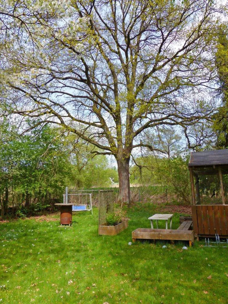 Stadtnahe gelegen!! Freizeitgrundstück mit Geräteschuppen in Grafenwöhr – Bild 5