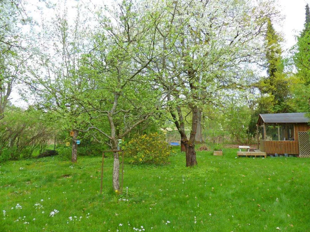 Stadtnahe gelegen!! Freizeitgrundstück mit Geräteschuppen in Grafenwöhr – Bild 6