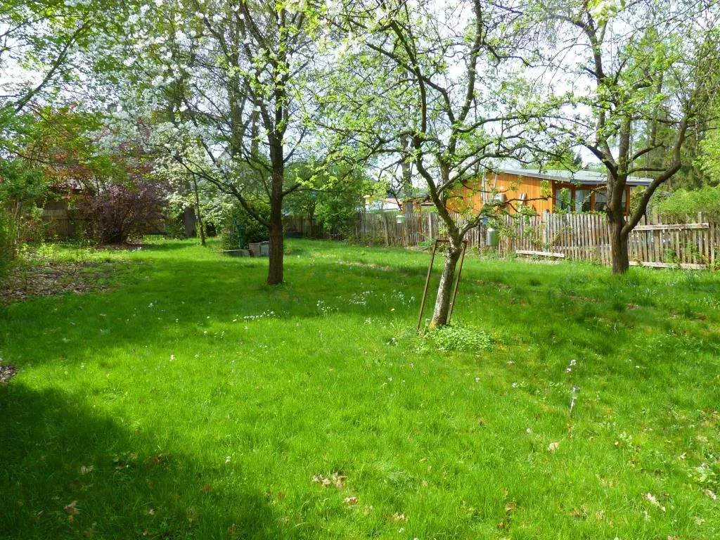 Stadtnahe gelegen!! Freizeitgrundstück mit Geräteschuppen in Grafenwöhr – Bild 3