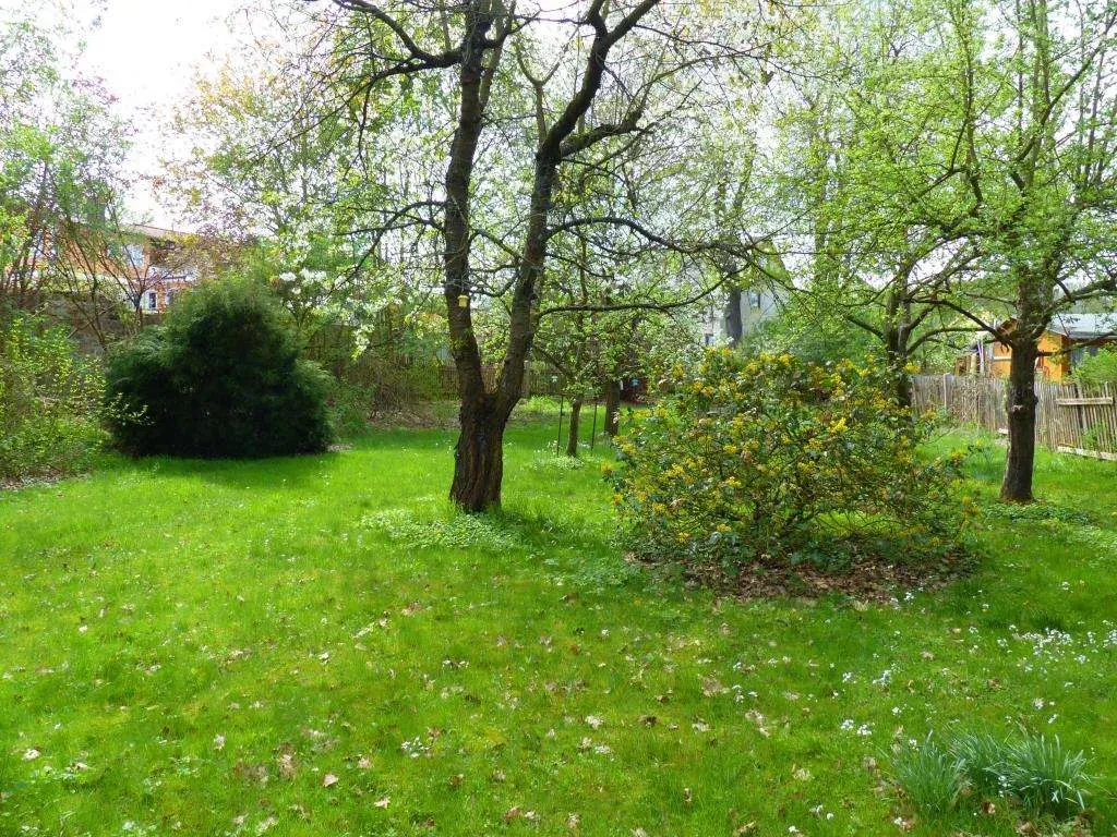 Stadtnahe gelegen!! Freizeitgrundstück mit Geräteschuppen in Grafenwöhr – Bild 1