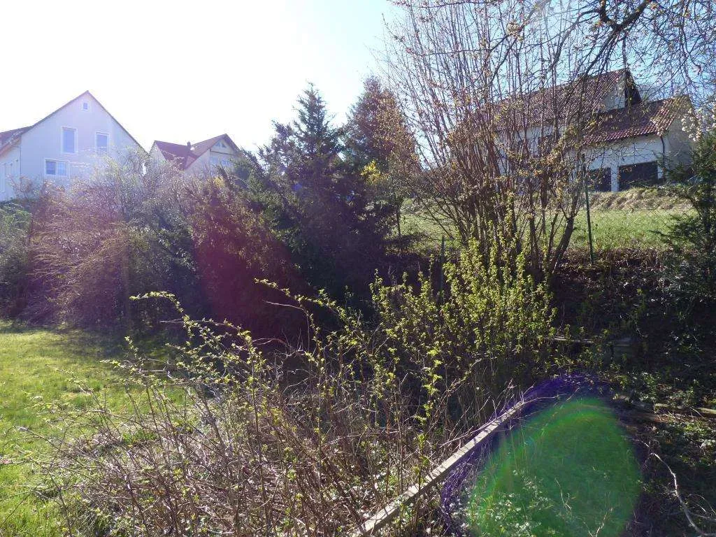 Top Lage geboten!!! Tolles Baugrundstück in ruhiger Hanglage – Bild 3