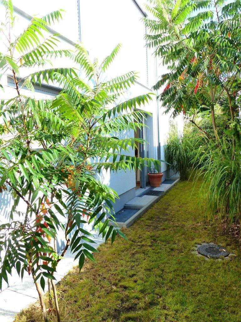 Traumlage, in exklusiver Stadtvilla geboten! 3 Zi.-ETW mit Terrasse, Garten und Stellplatz, Bj. 2012 – Bild 4