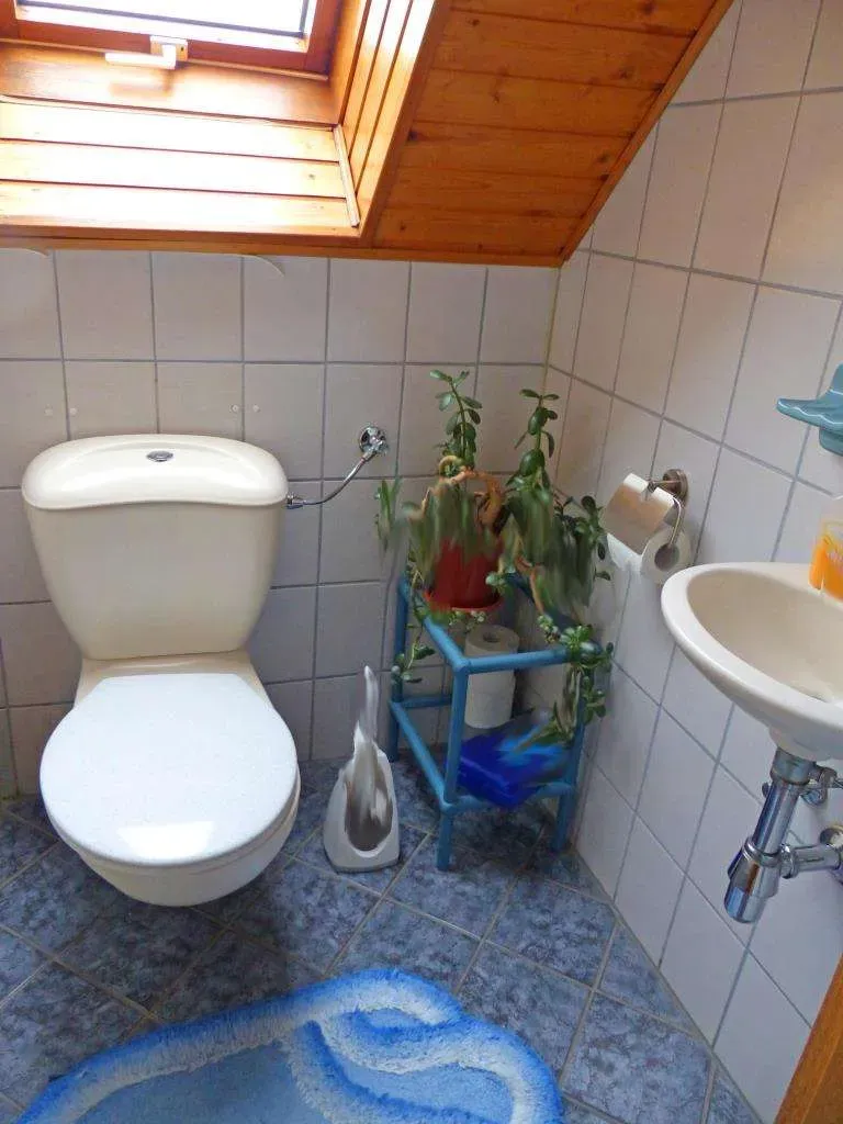 Waldrandlage geboten!! Freistehendes Wohnhaus mit separatem Waldstück und Doppelgarage – Bild 11